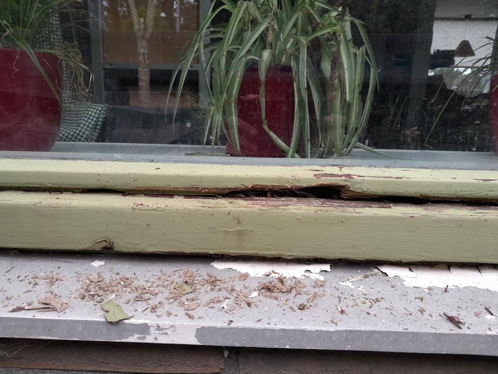 Image Buitenkant/Achterkant-schilderen.2024-09-25.004.jpg