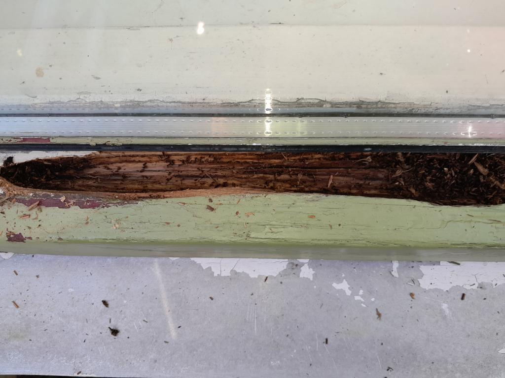 Image Buitenkant/Achterkant-schilderen.2024-10-03.011.jpg