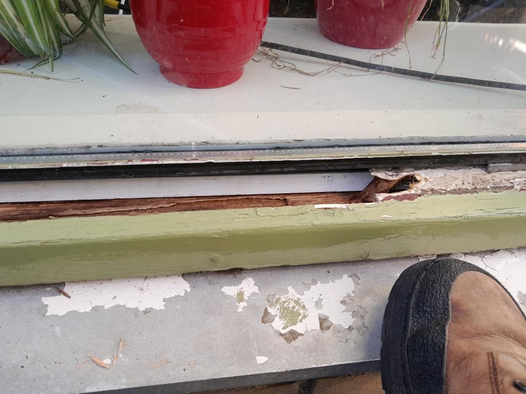 Image Buitenkant/Achterkant-schilderen.2024-10-03.019.jpg