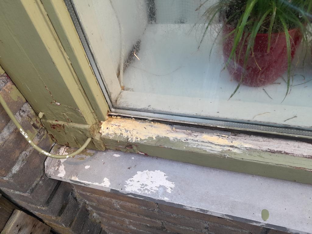 Image Buitenkant/Achterkant-schilderen.2024-10-04.000.jpg