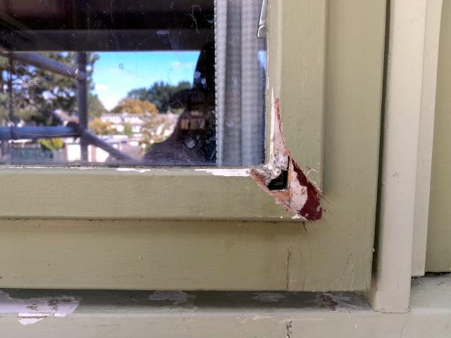 Image Buitenkant/Voorkant-schilderen.2025-08-18.000.jpg