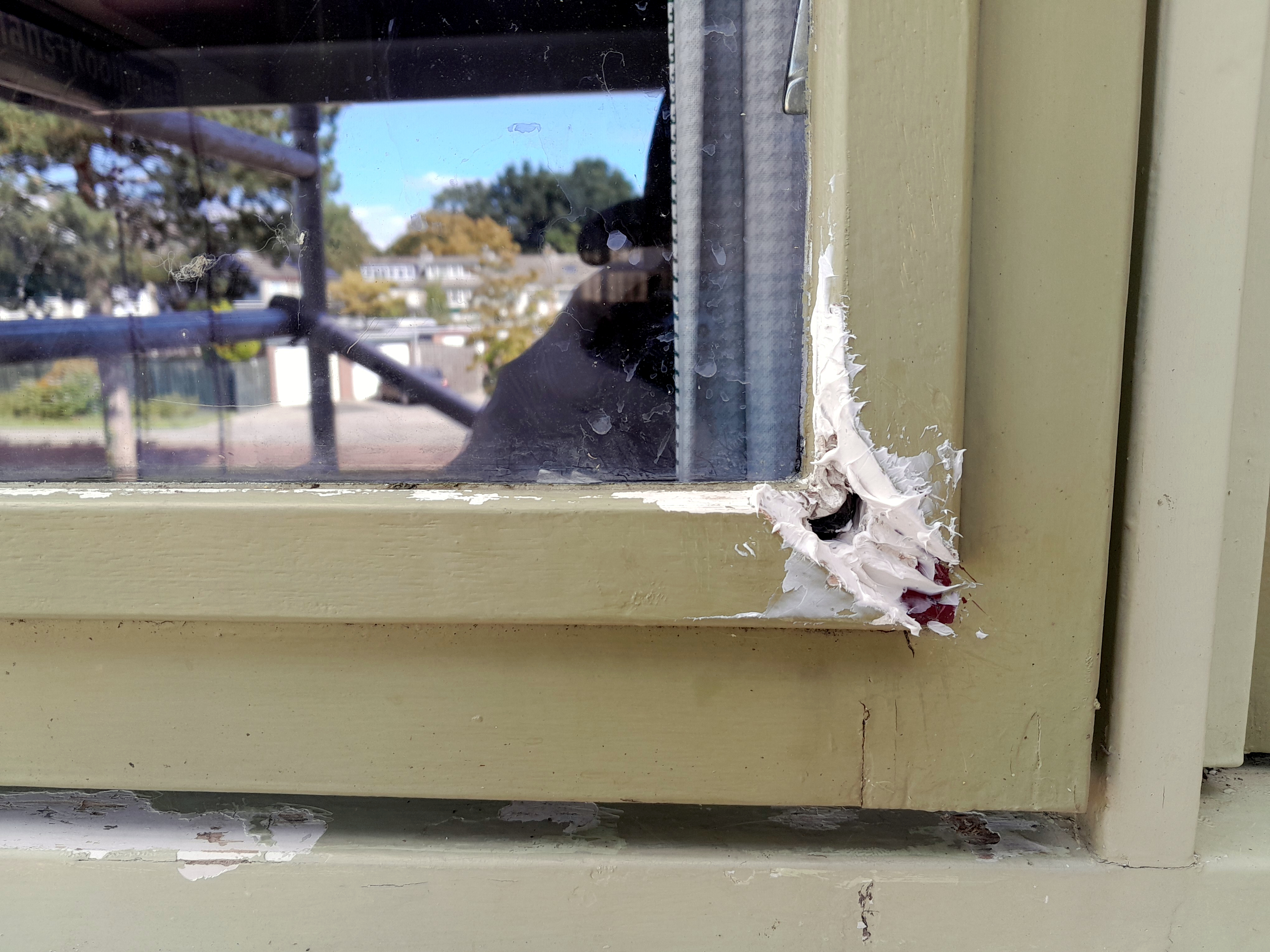 Image Buitenkant/Voorkant-schilderen.2025-08-18.002.jpg