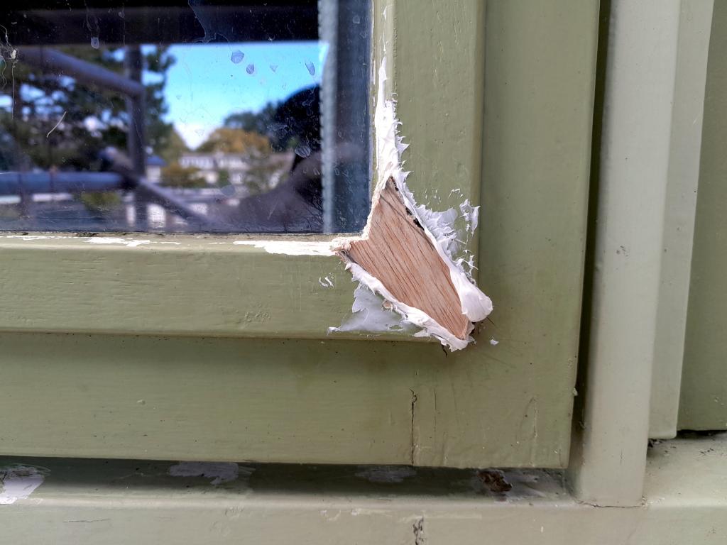 Image Buitenkant/Voorkant-schilderen.2025-08-18.003.jpg