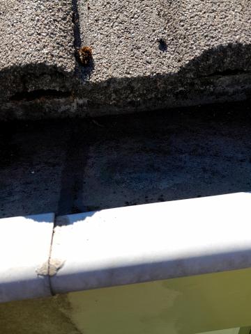 Image Buitenkant/Voorkant-schilderen.2025-08-24.000.jpg