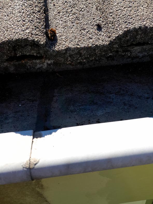 Image Buitenkant/Voorkant-schilderen.2025-08-24.000.jpg