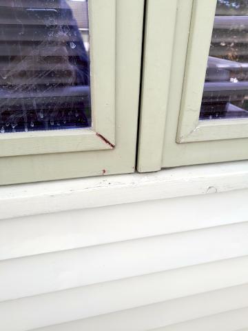 Image Buitenkant/Voorkant-schilderen.2025-08-25.006.jpg