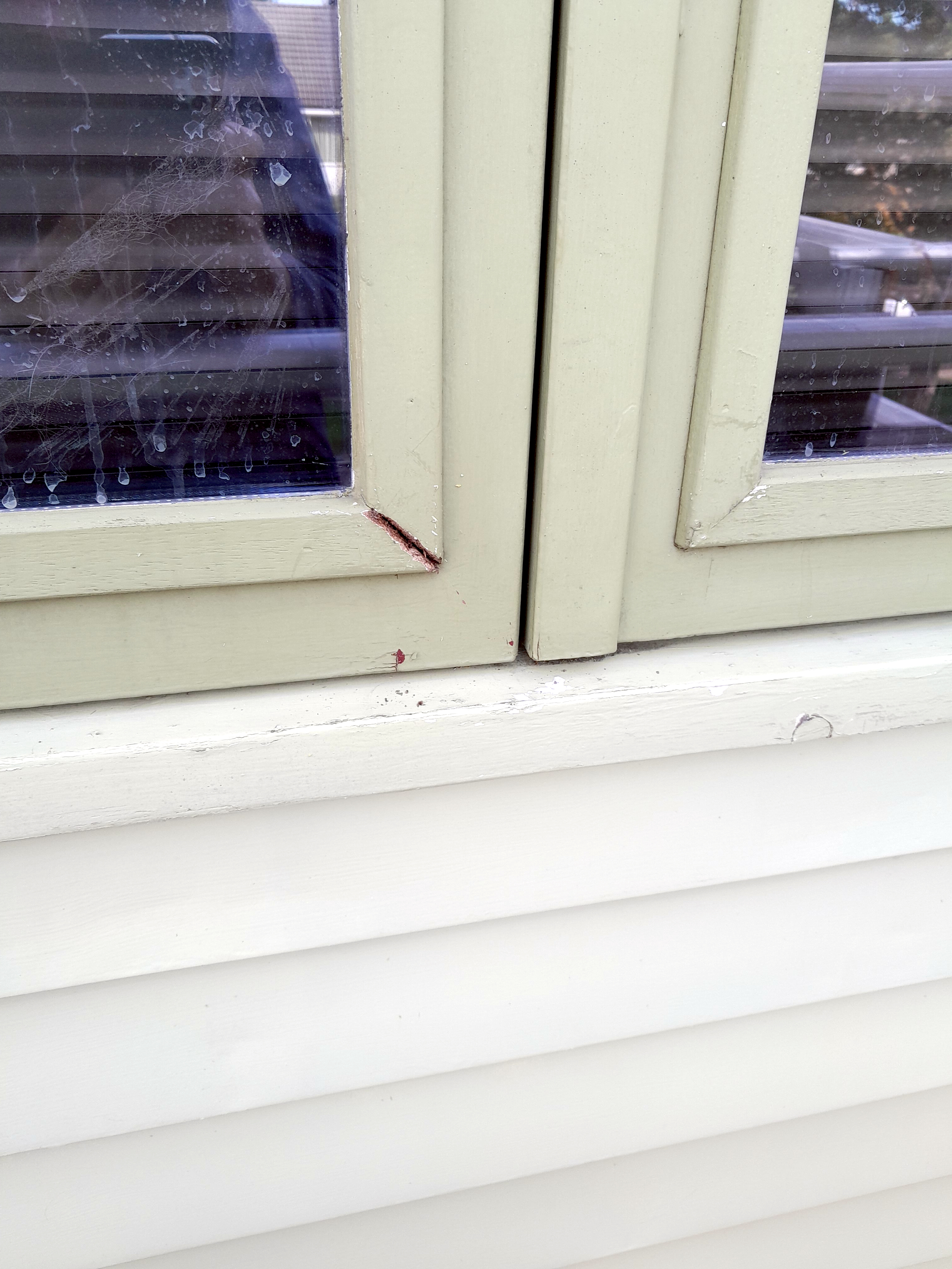 Image Buitenkant/Voorkant-schilderen.2025-08-25.006.jpg