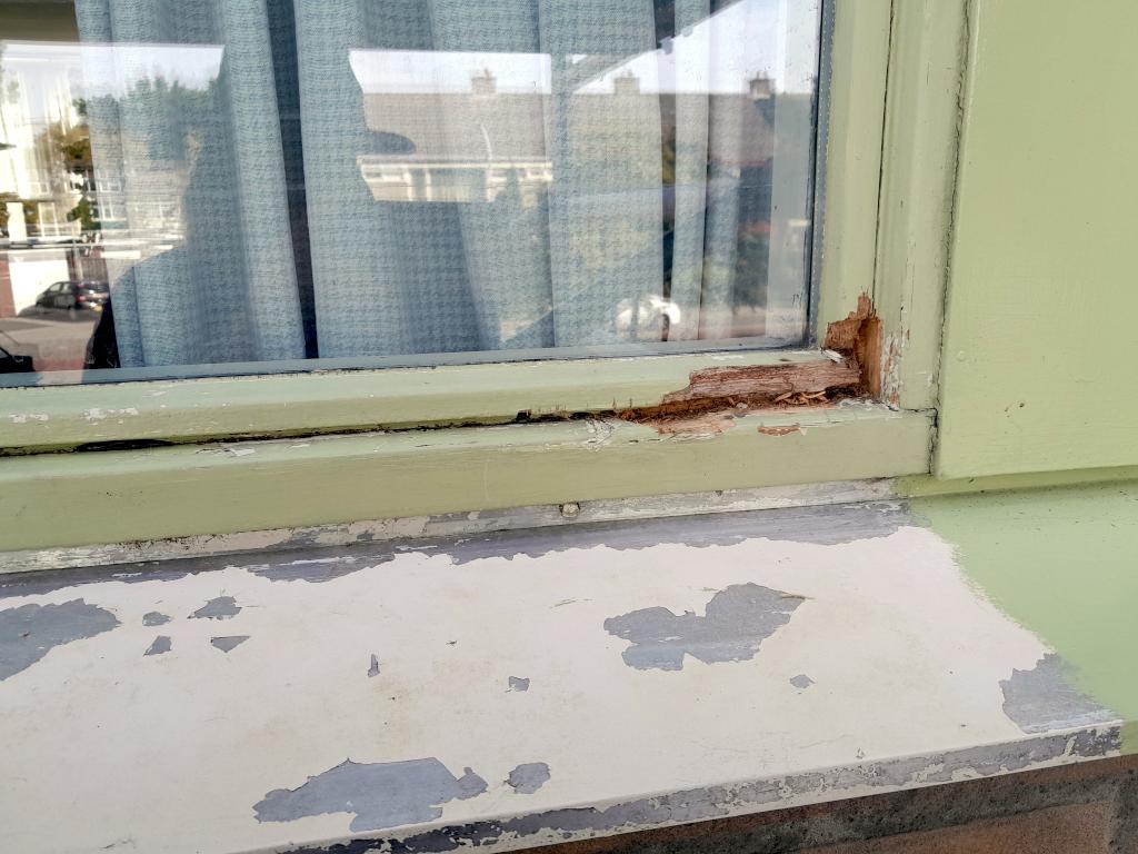 Image Buitenkant/Voorkant-schilderen.2025-08-25.010.jpg