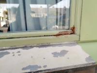 Image Buitenkant/Voorkant-schilderen.2025-08-25.010.jpg