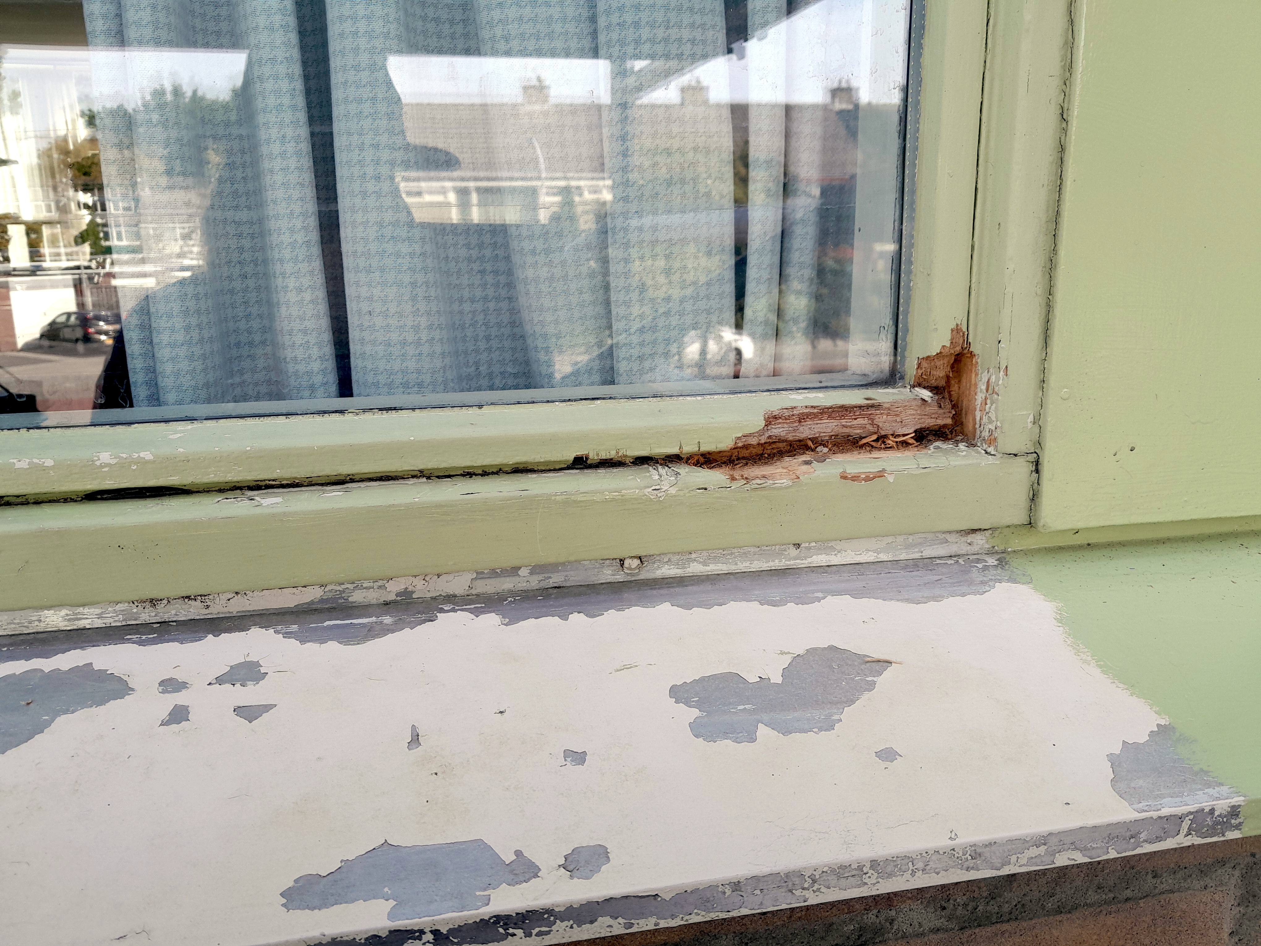 Image Buitenkant/Voorkant-schilderen.2025-08-25.010.jpg