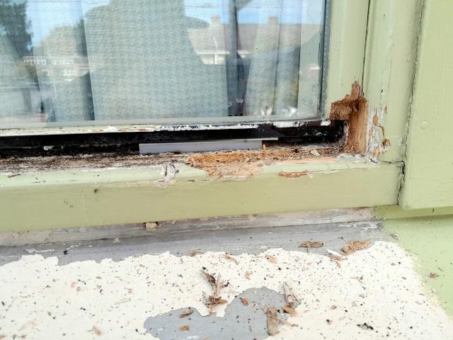 Image Buitenkant/Voorkant-schilderen.2025-08-27.001.jpg