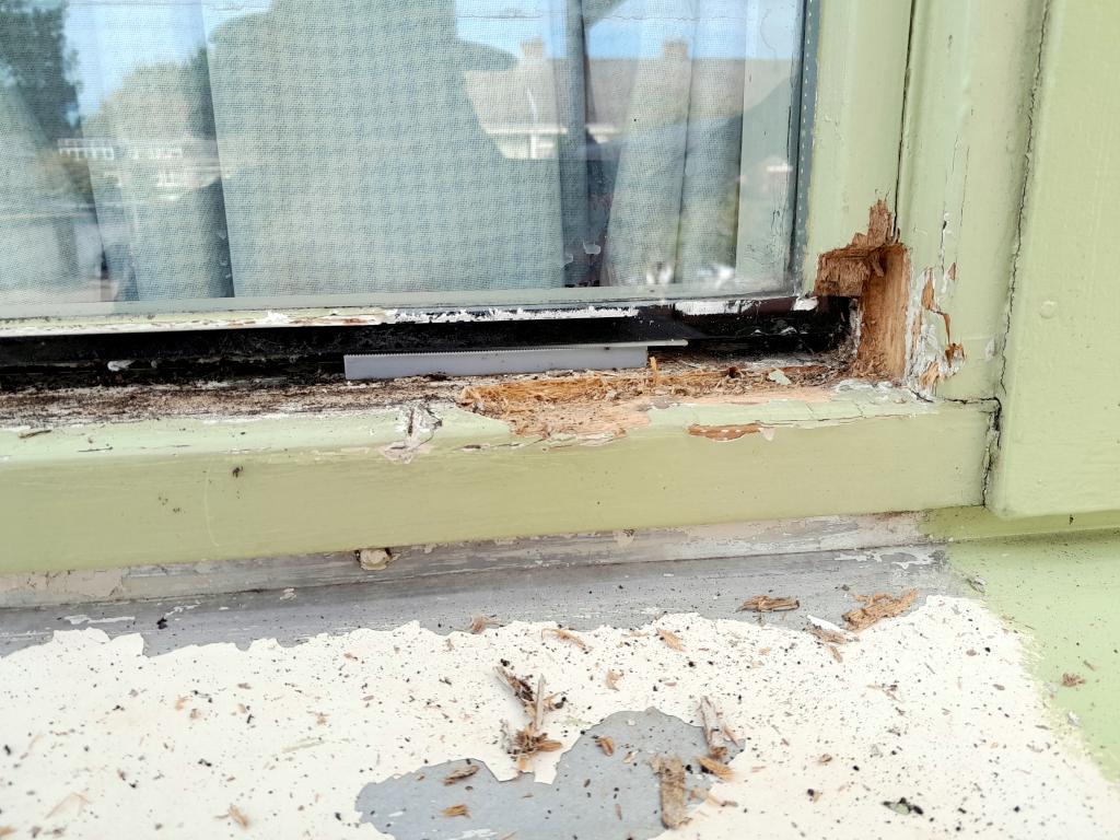 Image Buitenkant/Voorkant-schilderen.2025-08-27.001.jpg