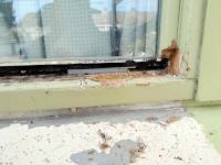 Image Buitenkant/Voorkant-schilderen.2025-08-27.001.jpg