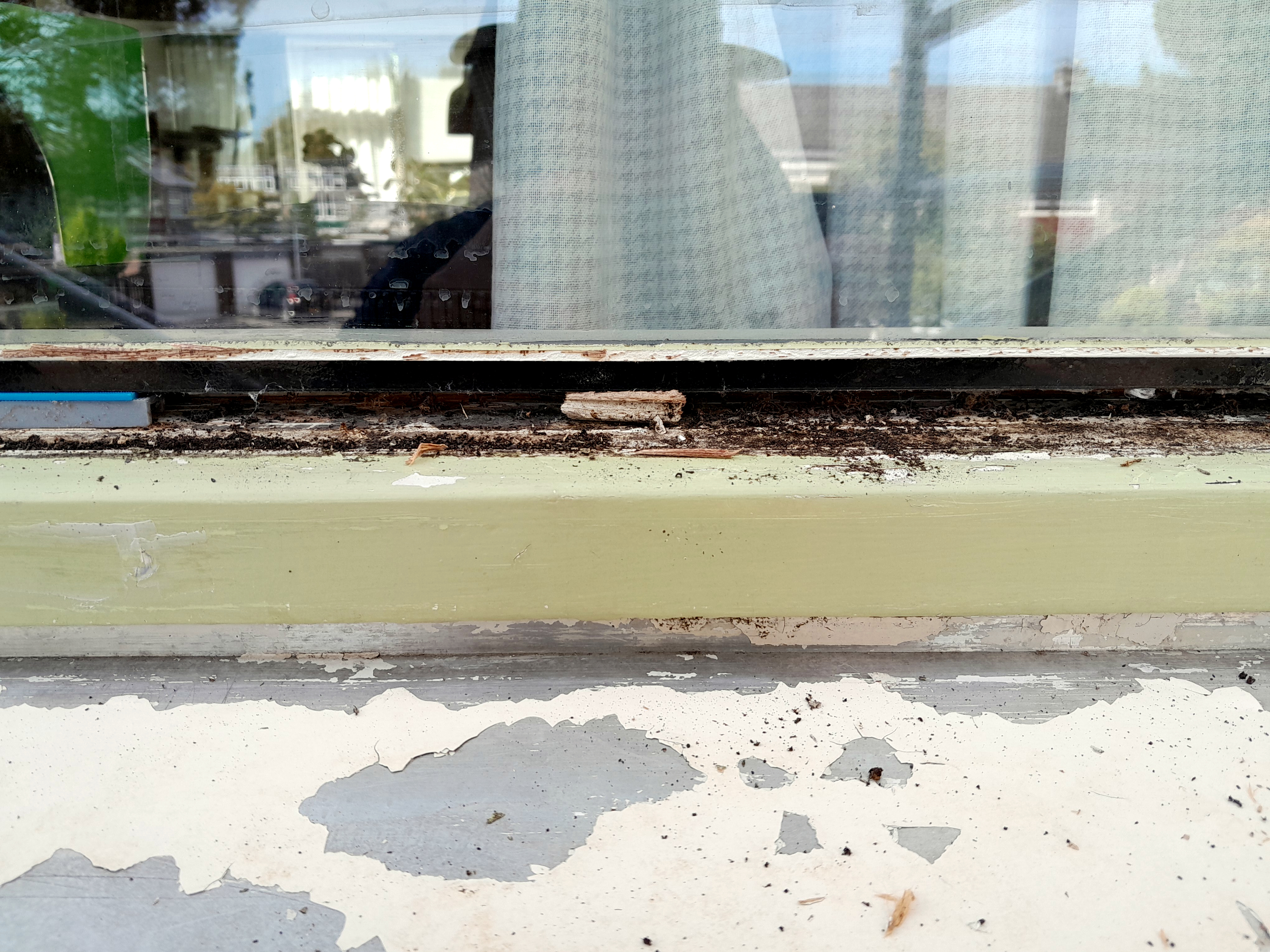 Image Buitenkant/Voorkant-schilderen.2025-08-27.002.jpg