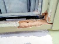 Image Buitenkant/Voorkant-schilderen.2025-08-27.004.jpg