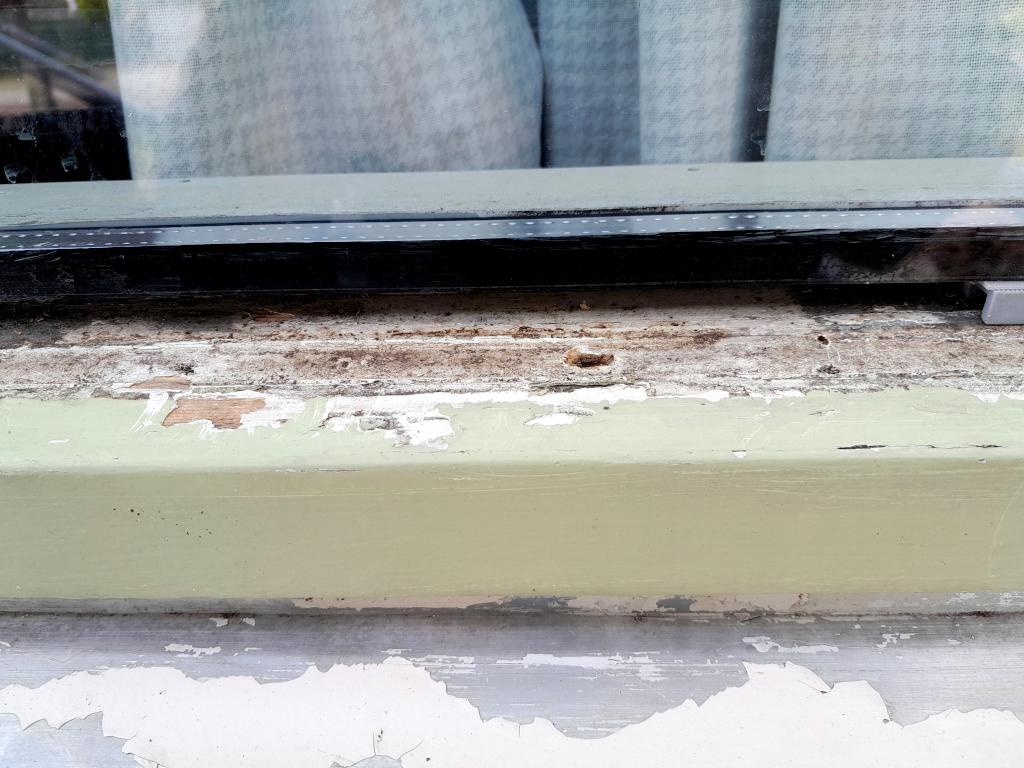 Image Buitenkant/Voorkant-schilderen.2025-08-27.005.jpg