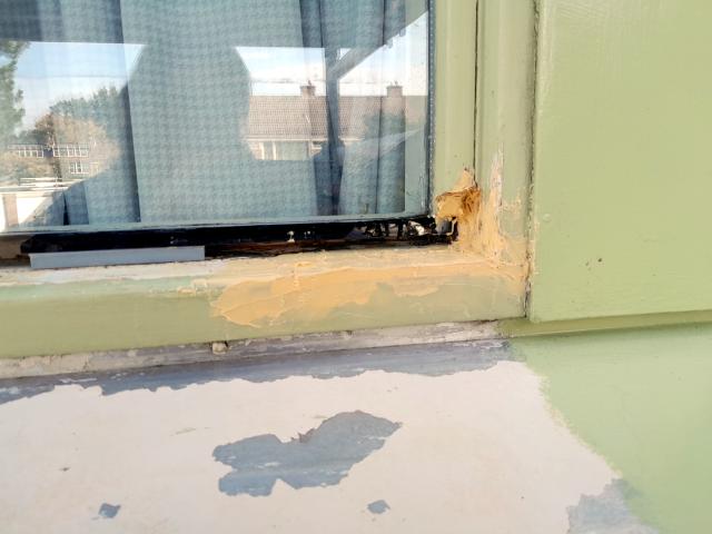 Image Buitenkant/Voorkant-schilderen.2025-08-27.016.jpg