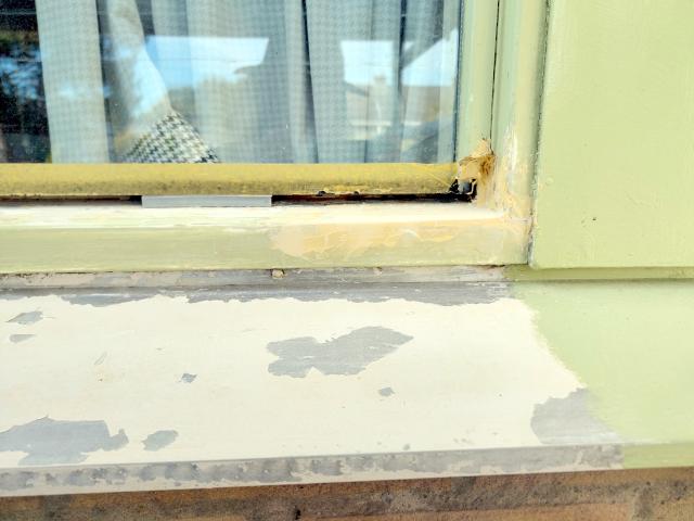 Image Buitenkant/Voorkant-schilderen.2025-08-29.000.jpg