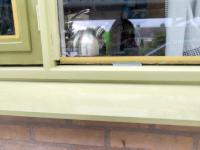 Image Buitenkant/Voorkant-schilderen.2025-08-29.011.jpg