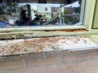 Image Buitenkant/Voorkant-schilderen.2025-09-04.000.jpg