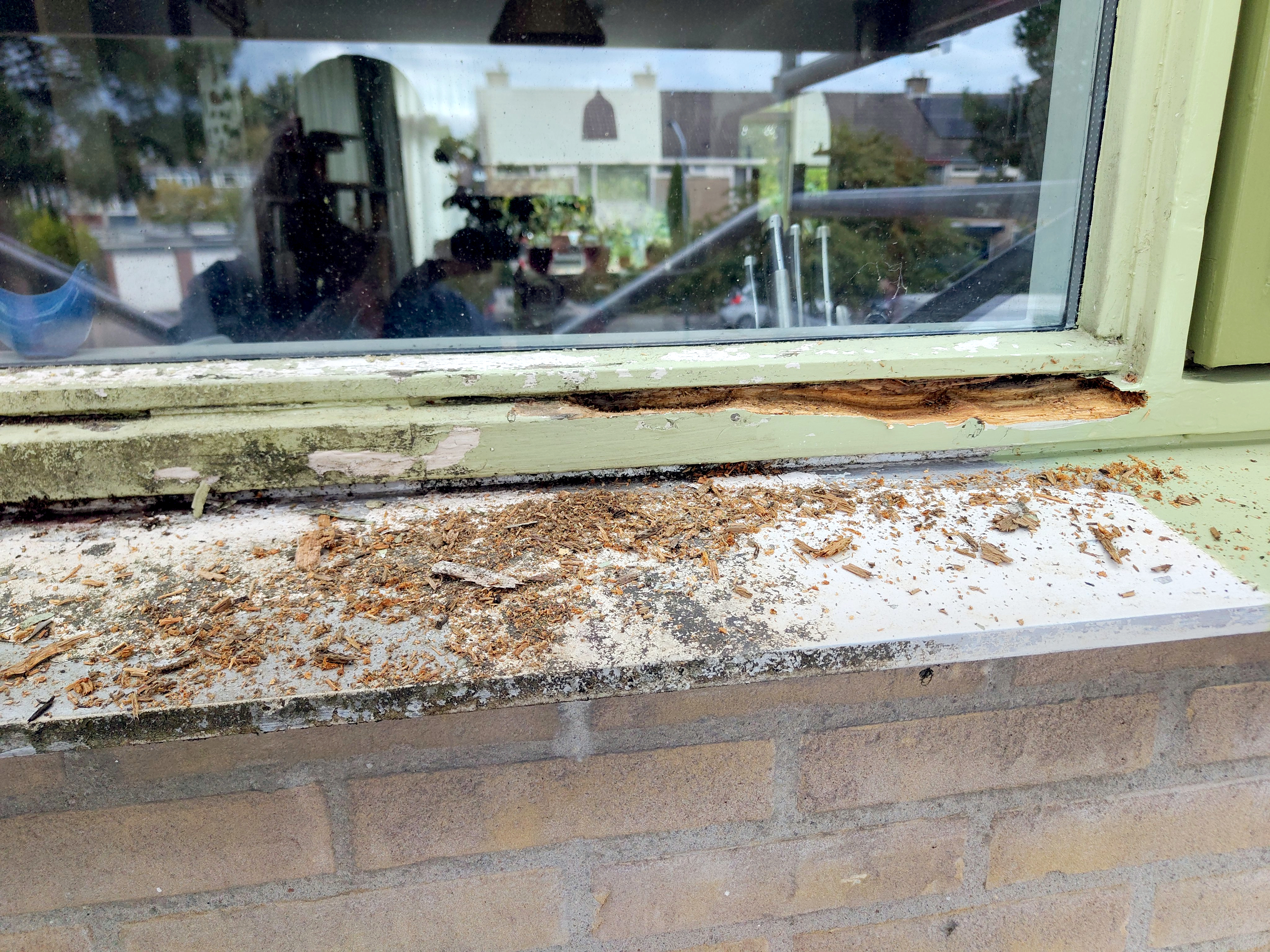 Image Buitenkant/Voorkant-schilderen.2025-09-04.000.jpg