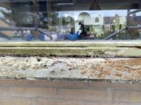 Image Buitenkant/Voorkant-schilderen.2025-09-04.001.jpg