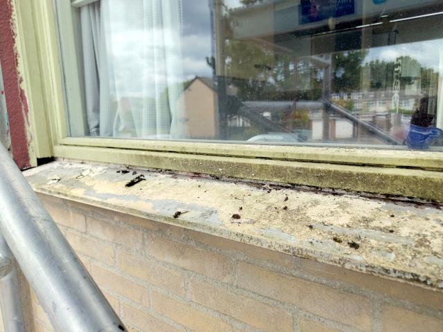 Image Buitenkant/Voorkant-schilderen.2025-09-04.002.jpg