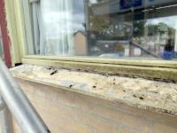 Image Buitenkant/Voorkant-schilderen.2025-09-04.002.jpg