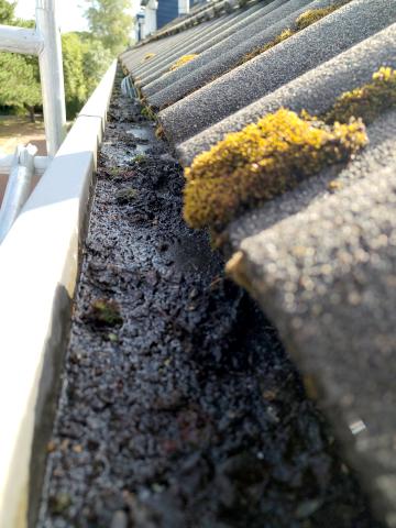 Image Buitenkant/Voorkant-schilderen.2025-09-05.000.jpg