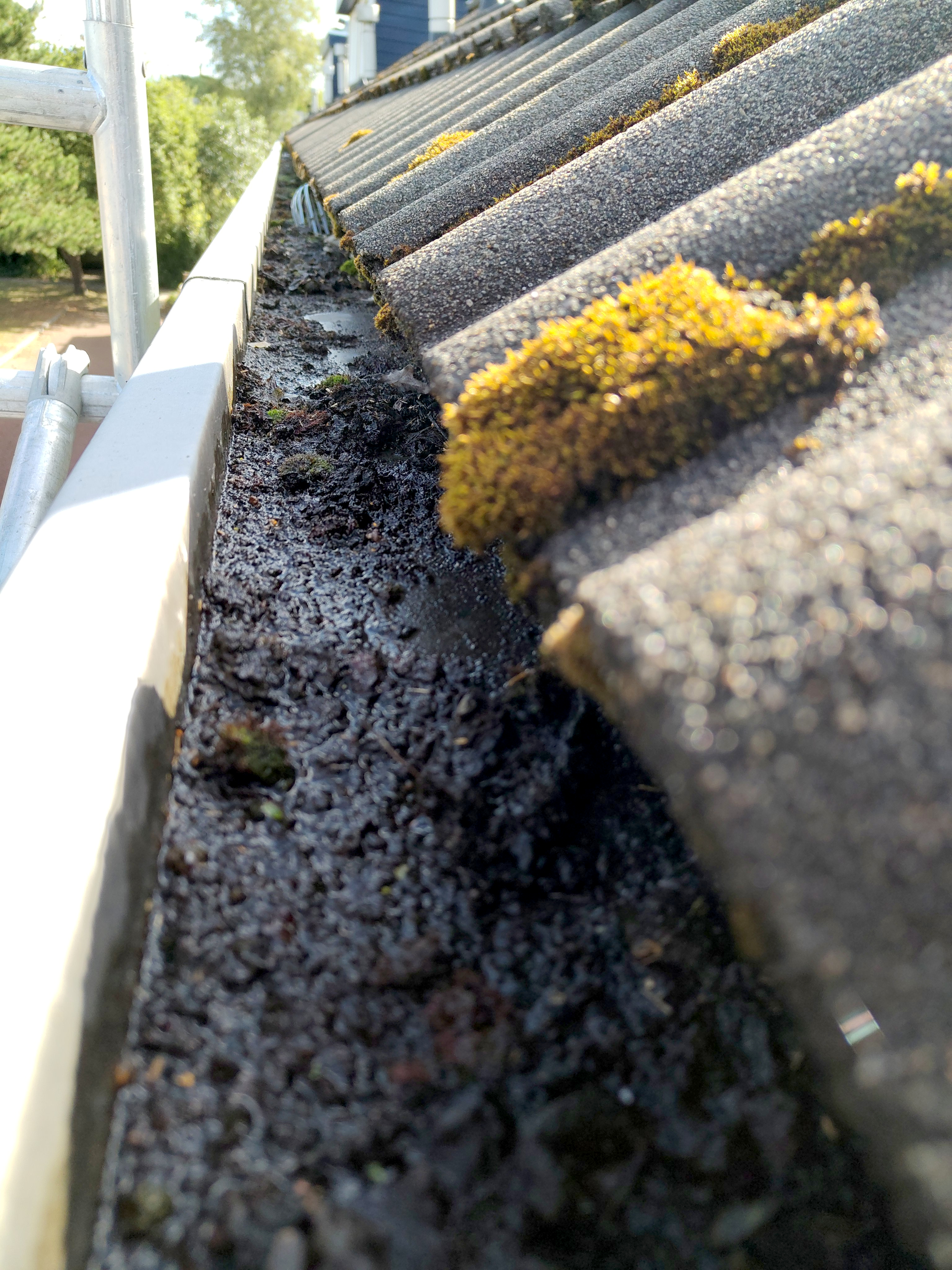 Image Buitenkant/Voorkant-schilderen.2025-09-05.000.jpg