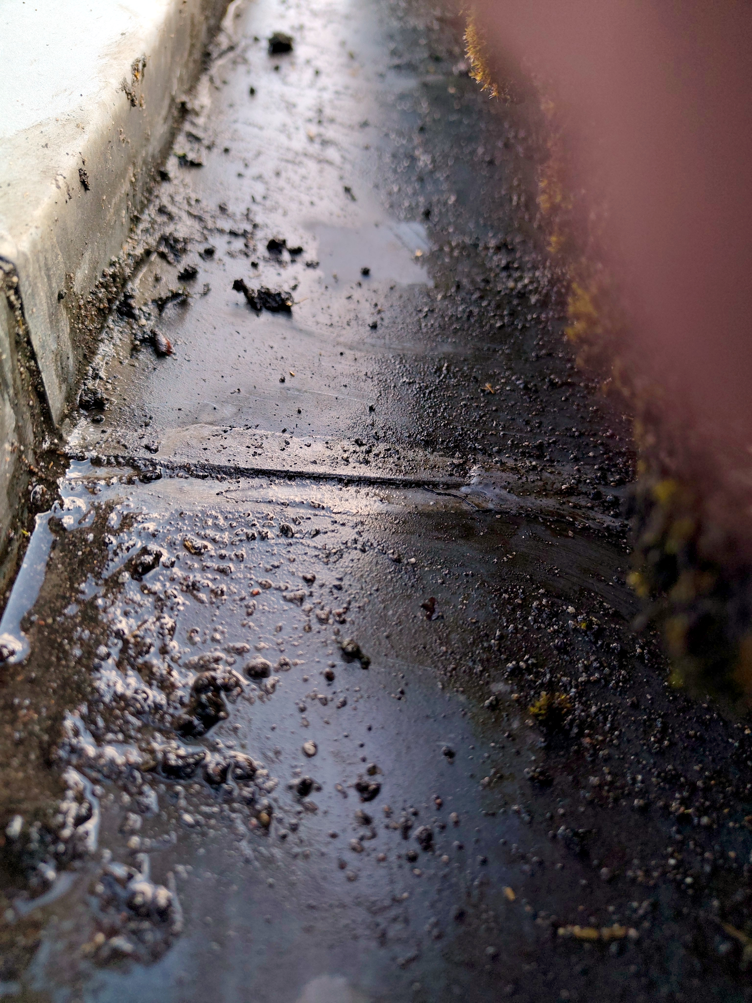 Image Buitenkant/Voorkant-schilderen.2025-09-05.001.jpg