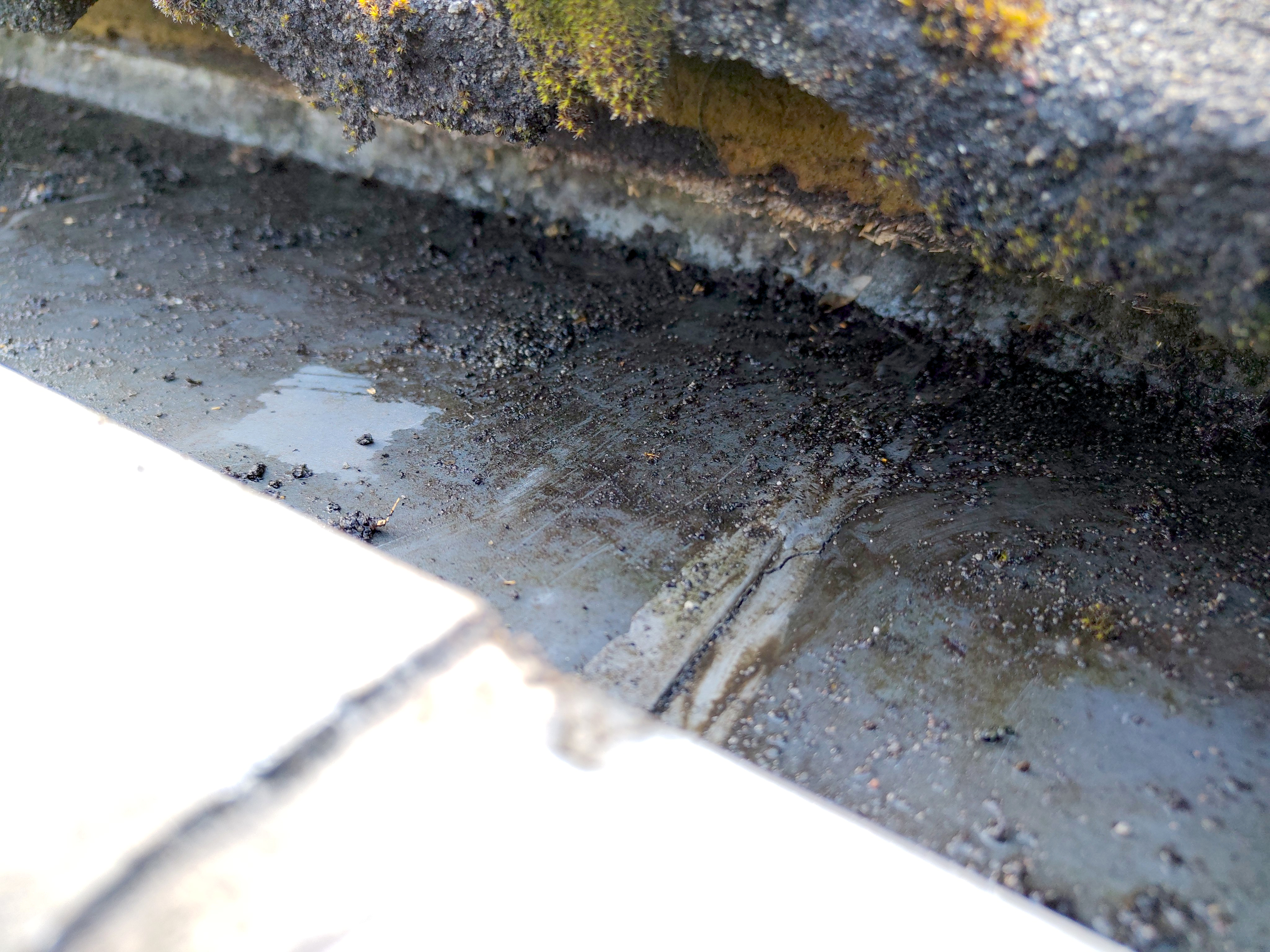 Image Buitenkant/Voorkant-schilderen.2025-09-05.002.jpg