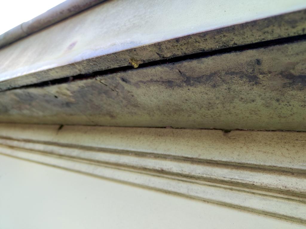 Image Buitenkant/Voorkant-schilderen.2025-09-05.004.jpg