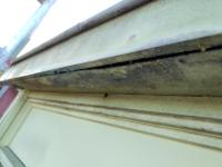 Image Buitenkant/Voorkant-schilderen.2025-09-05.005.jpg