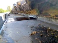 Image Buitenkant/Voorkant-schilderen.2025-09-05.012.jpg