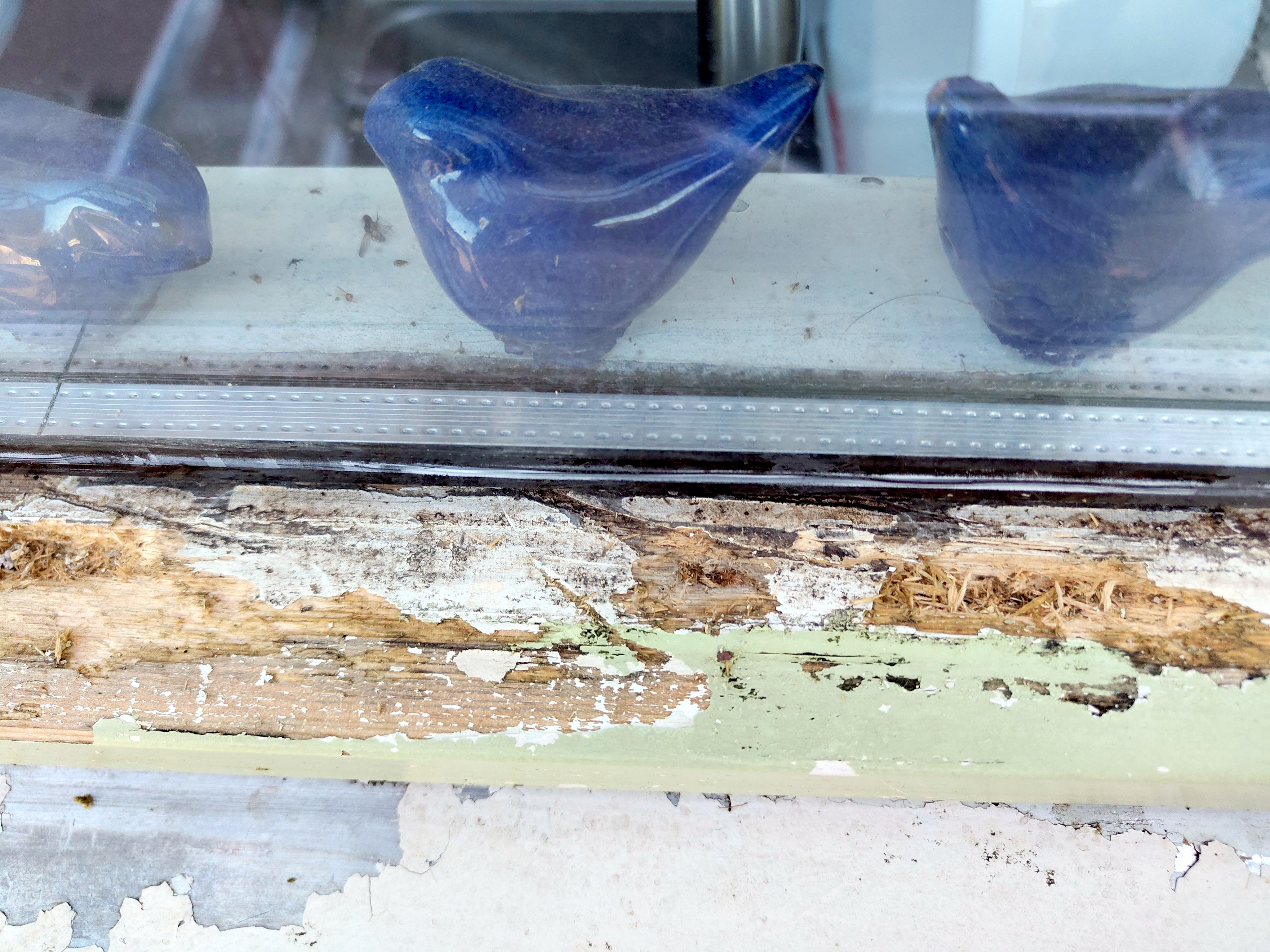 Image Buitenkant/Voorkant-schilderen.2025-09-05.019.jpg