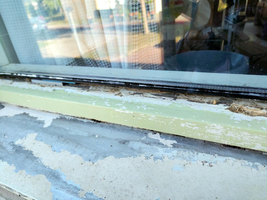 Image Buitenkant/Voorkant-schilderen.2025-09-05.021.jpg