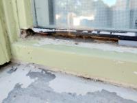 Image Buitenkant/Voorkant-schilderen.2025-09-05.023.jpg