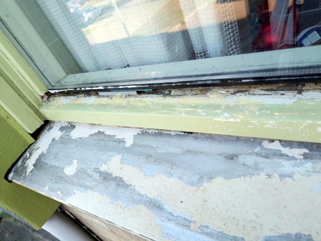 Image Buitenkant/Voorkant-schilderen.2025-09-07.010.jpg