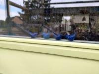 Image Buitenkant/Voorkant-schilderen.2025-09-10.001.jpg