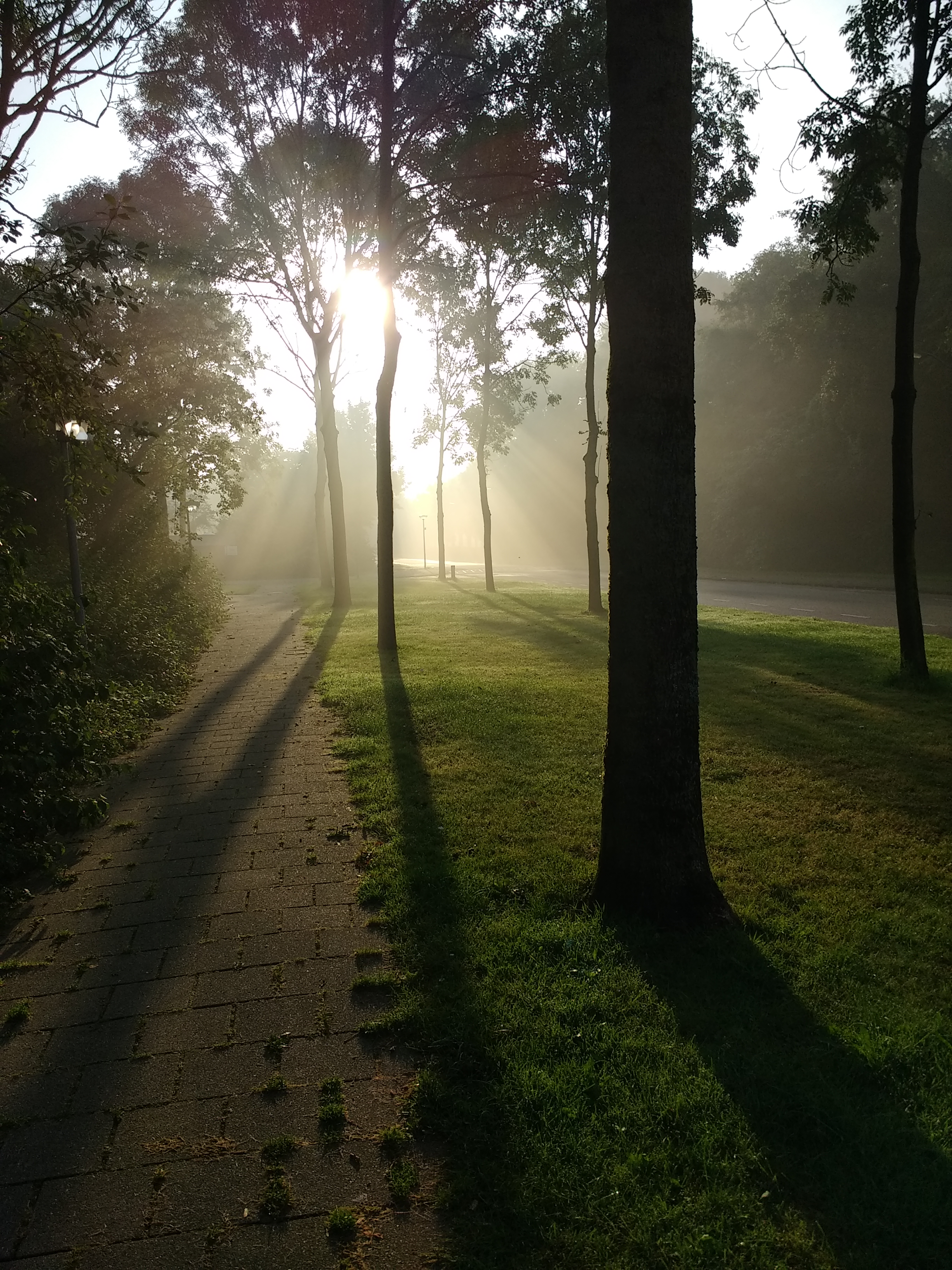 Image Buurt/Atol.2016-08-28.001.jpg