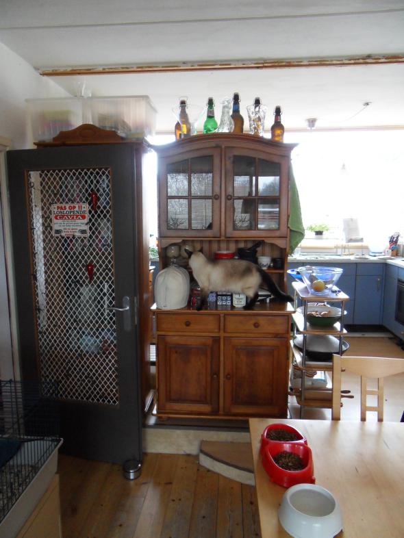 Image Keuken/Keuken-2011-03-13.001.jpg