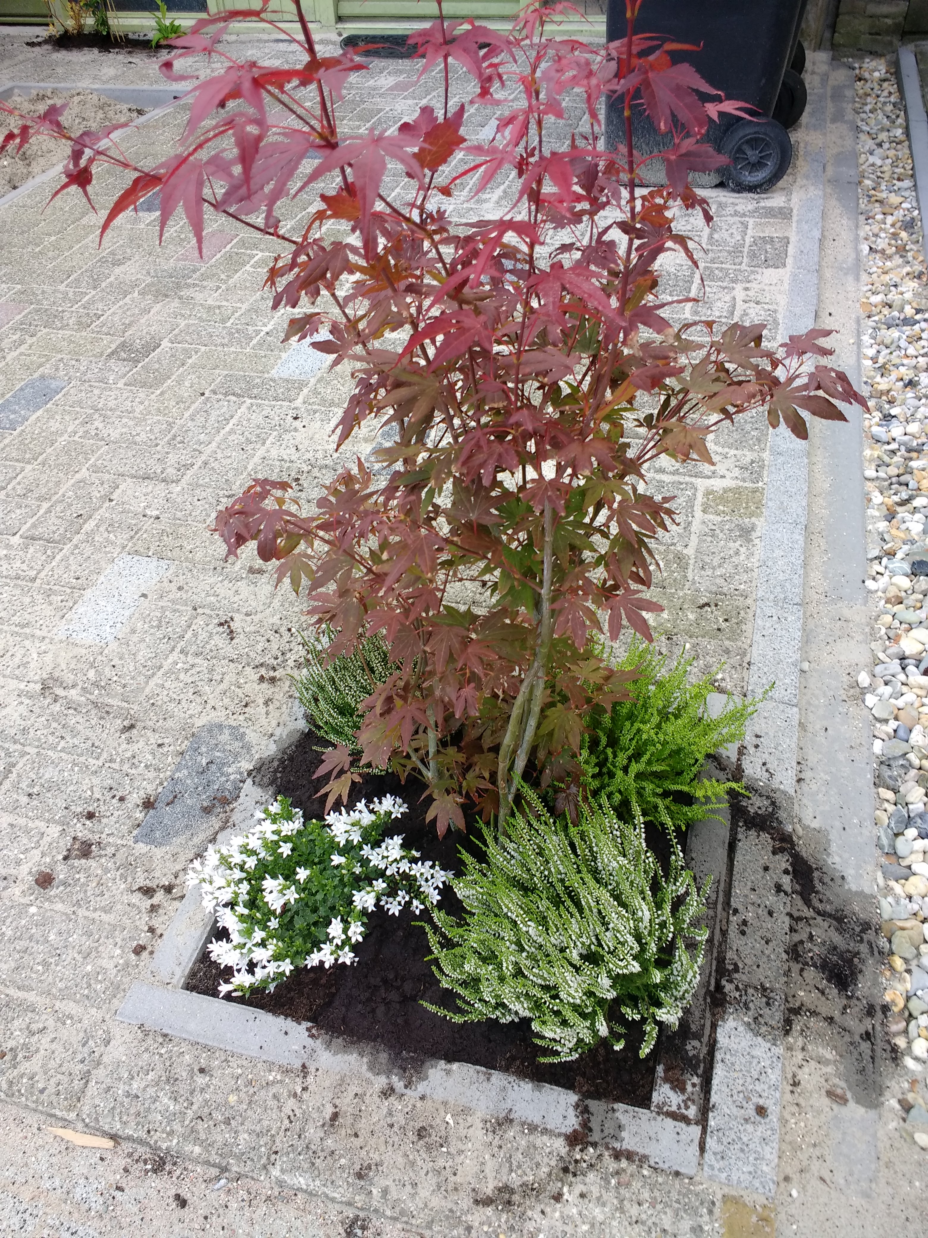 Image Oprit/oprit.2017-07-22.001.jpg