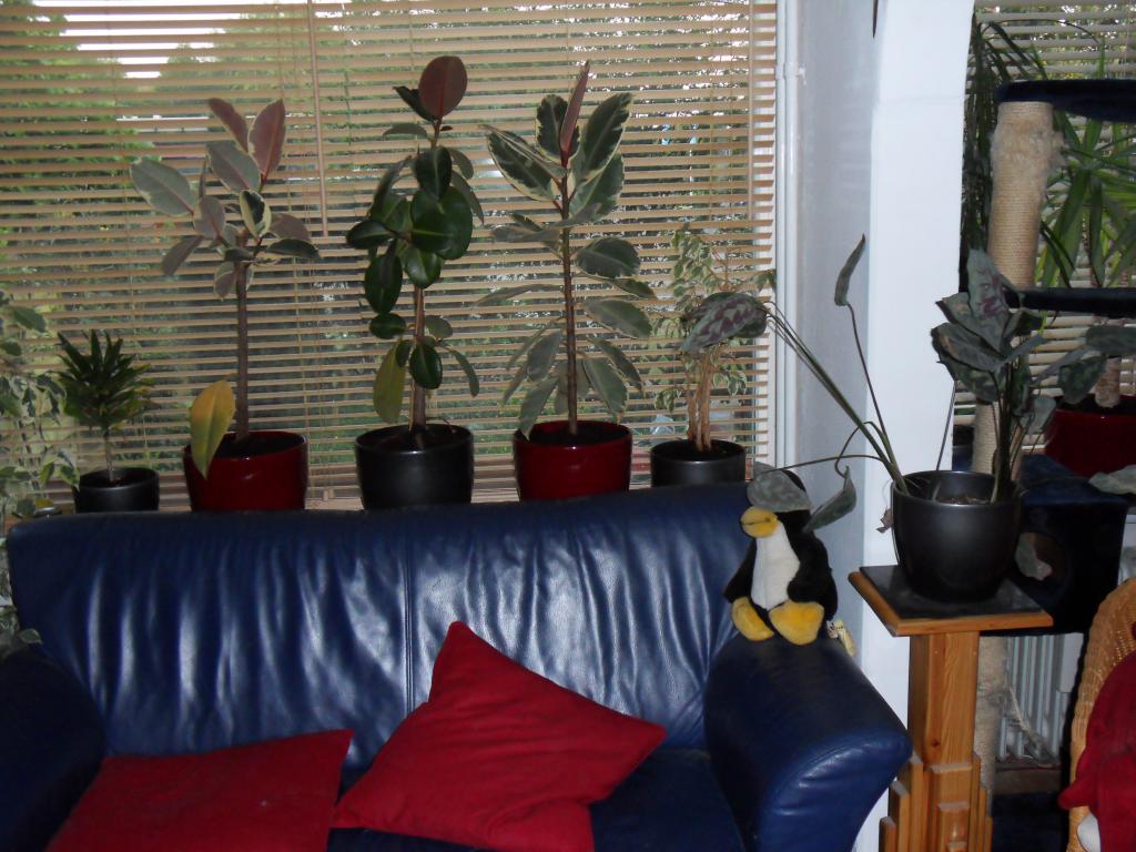 Ompotten 25-04-2011 - Na