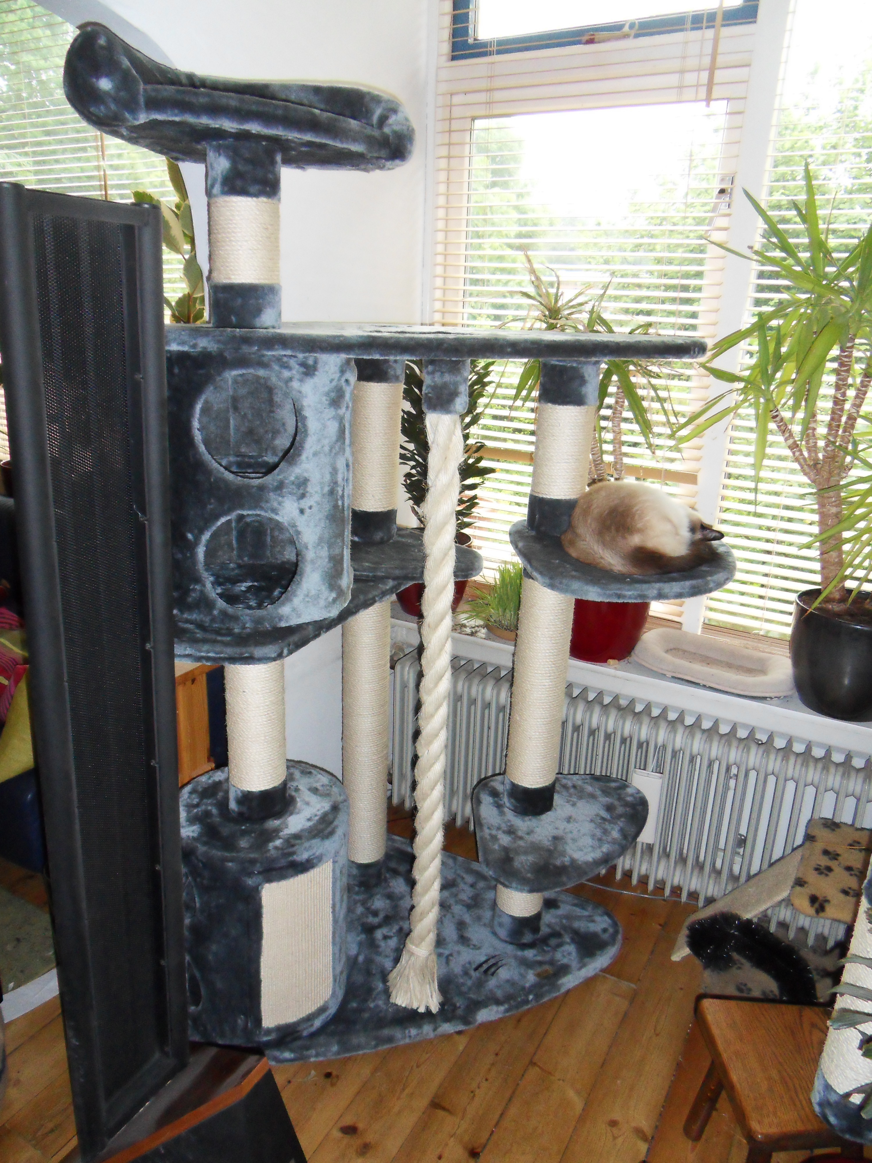 Image Woonkamer/Krabpaal-2012-06-06.000.jpg