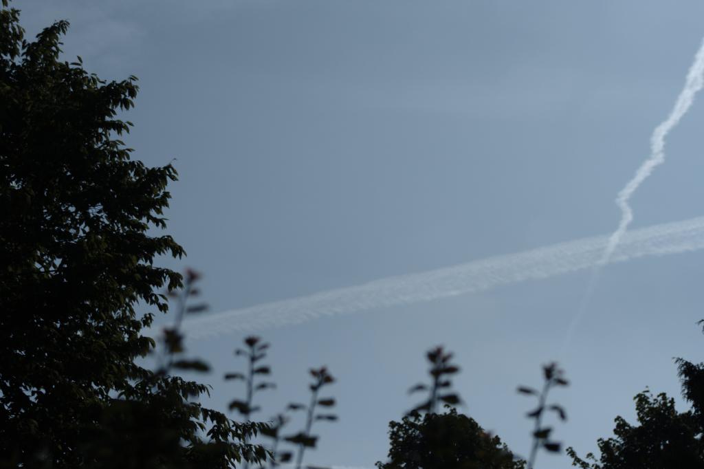 Image garden/Tuin-2010-05-22.201.jpg