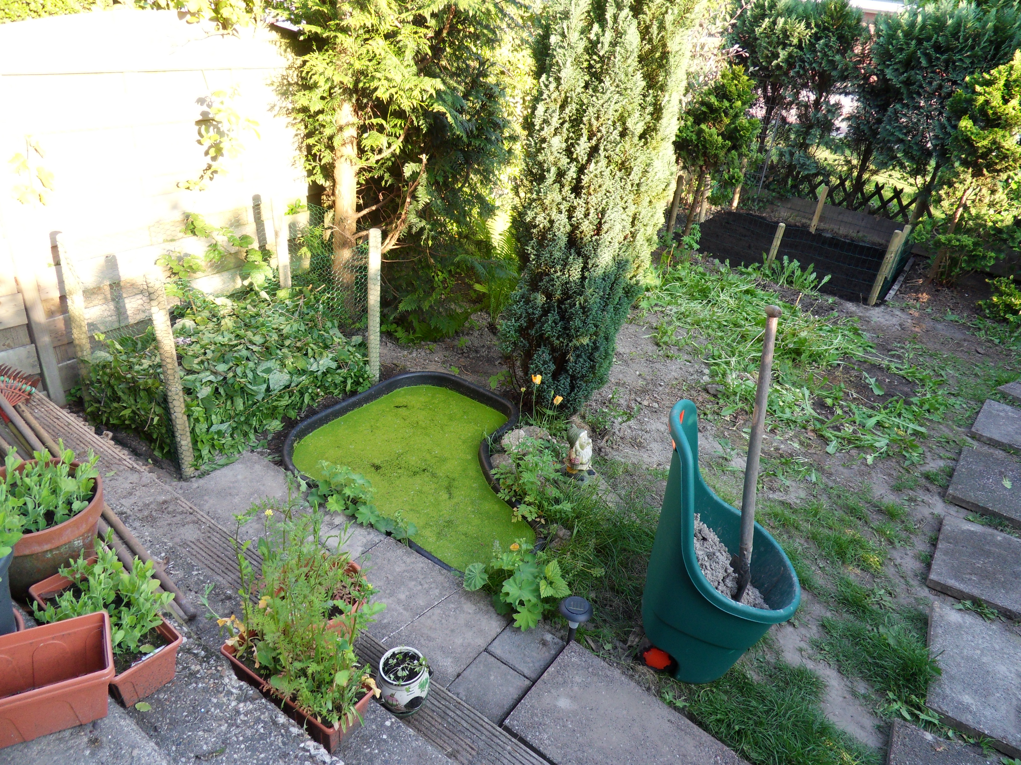 Overzicht van het werk vandaag, compostbak, caviaweide, stukje tuinpad en middendeel vrij gemaakt