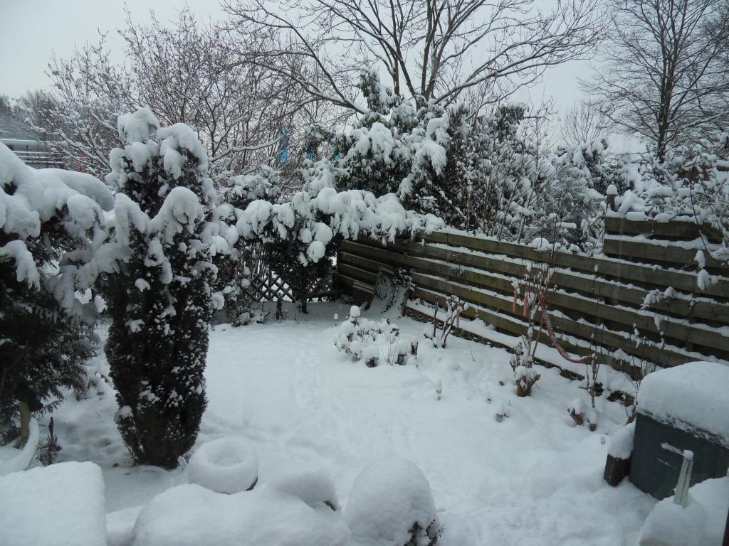 Image garden/Tuin-2010-12-19.007.jpg