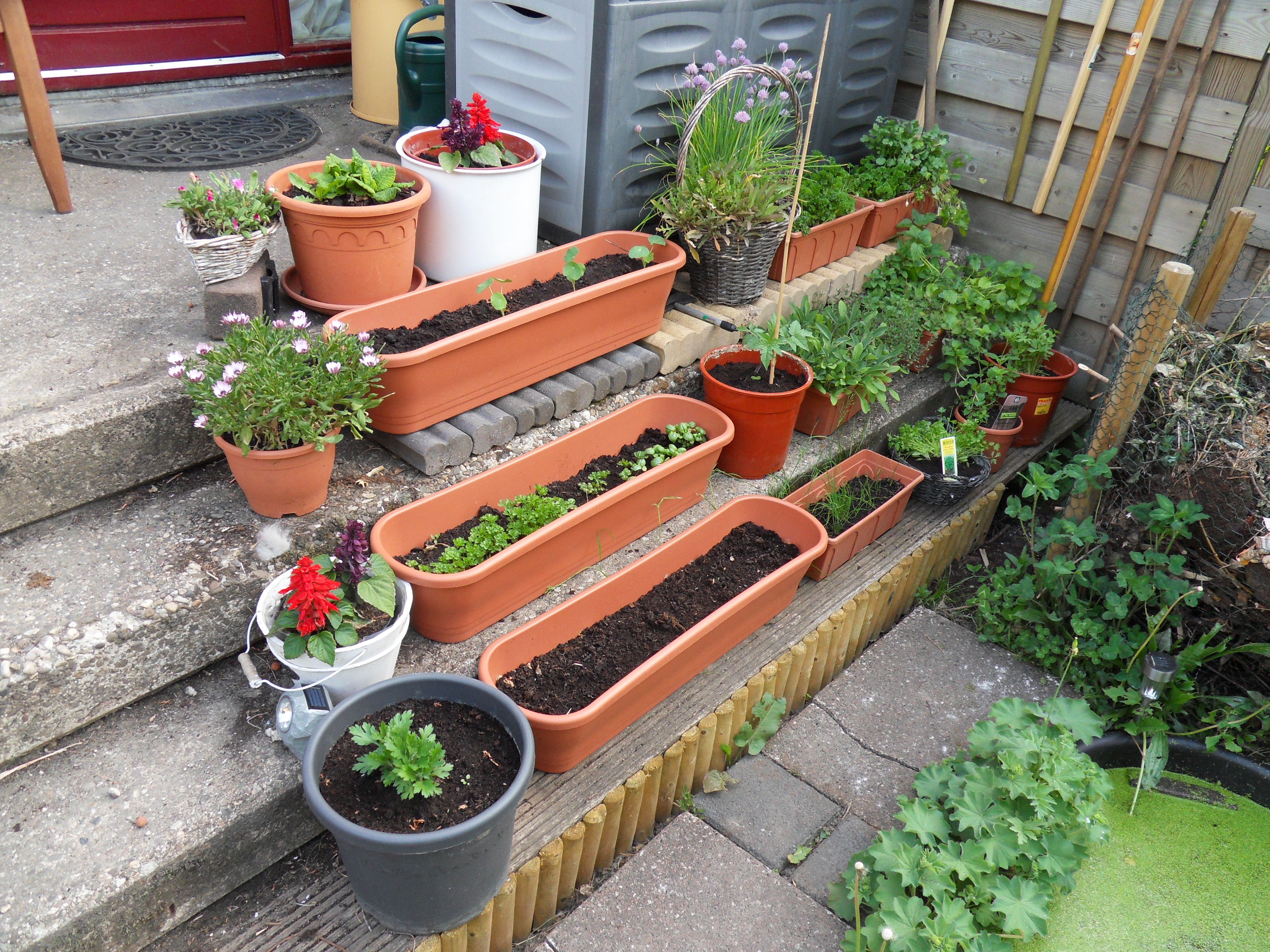 Image garden/Tuin-2011-05-08.015.jpg