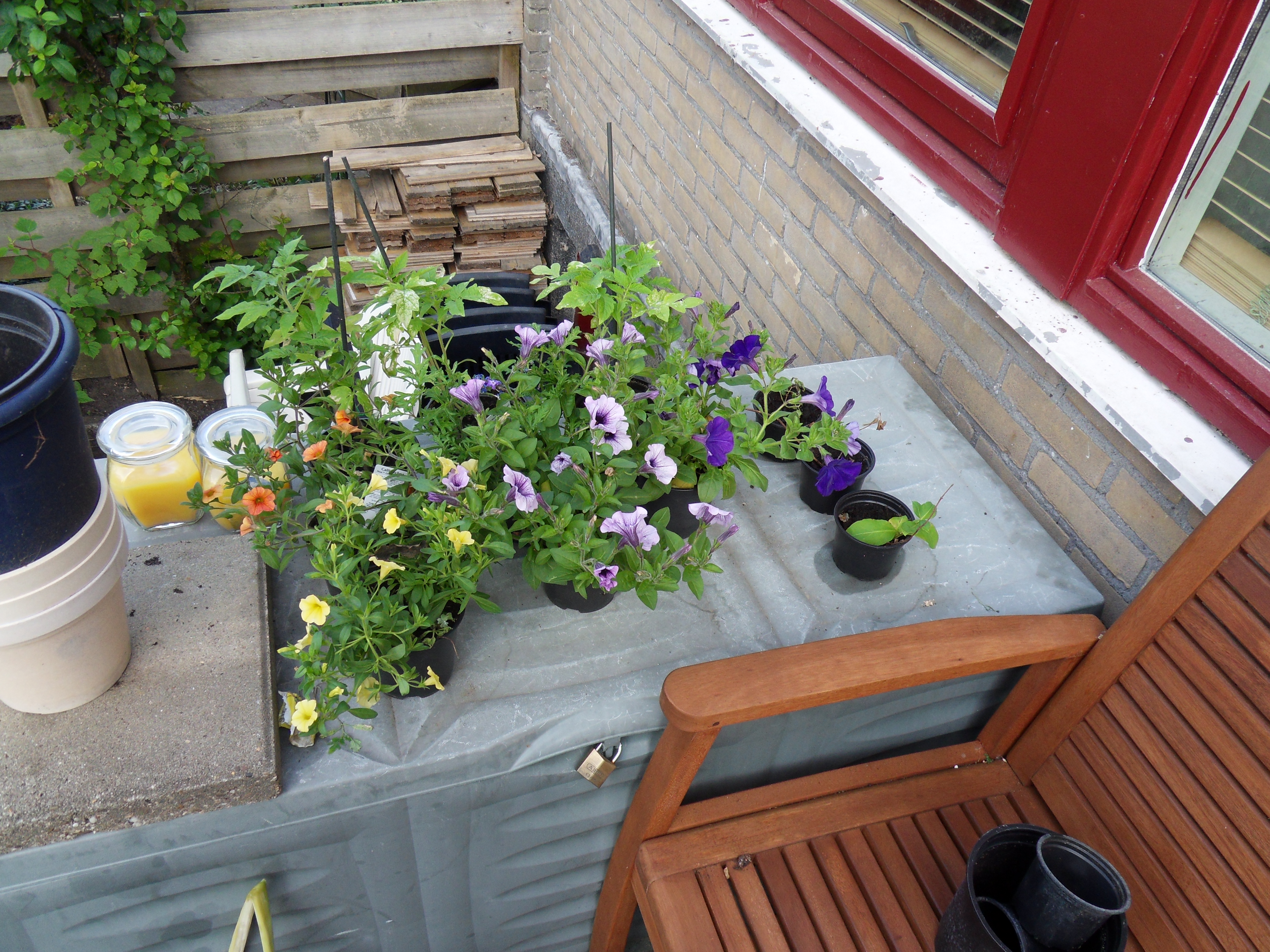 De logees, plantjes van de buren